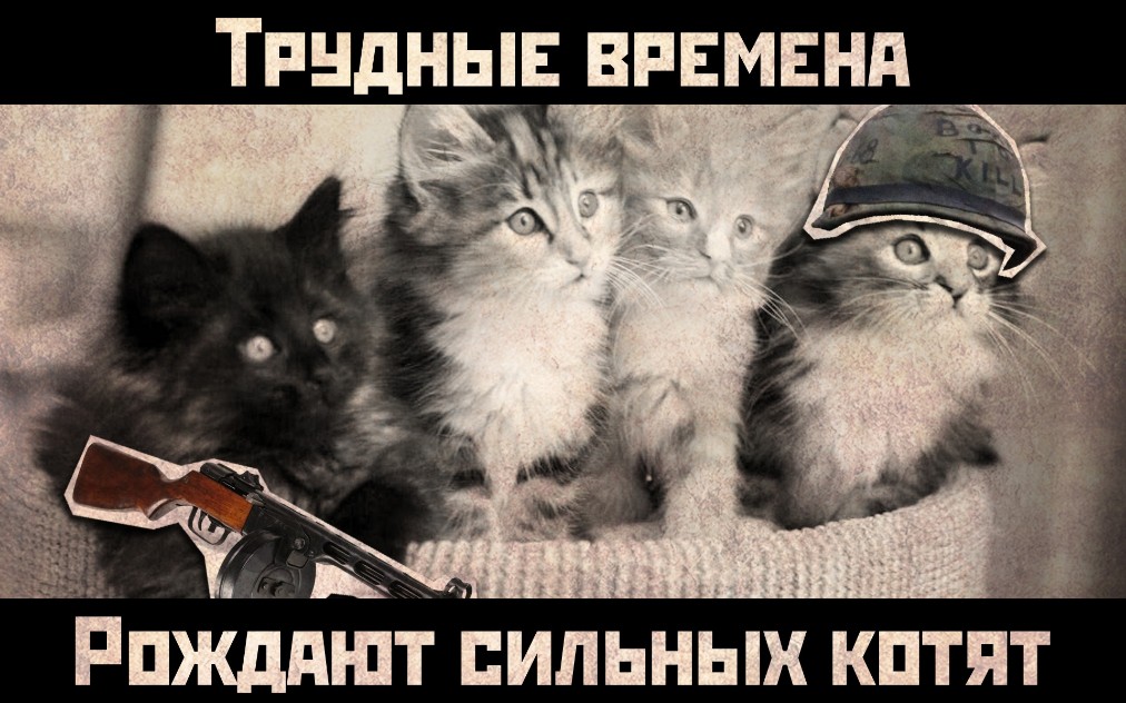 Сильные котята 2