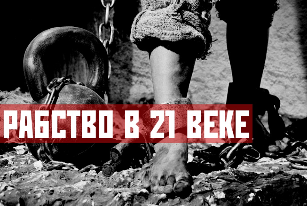 Обои в 21 веке цена фото